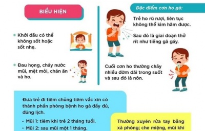 BỆNH HO GÀ: XIN ĐỪNG HOANG MANG